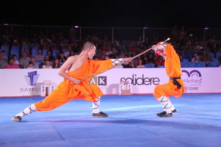 Martial Arts Festival